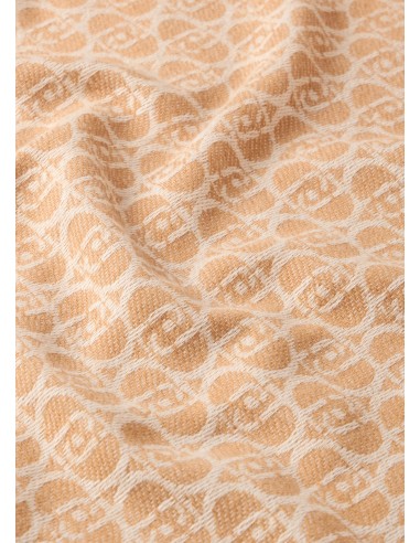 Sciarpa con logo monogram Liu.jo 2F5018T0300